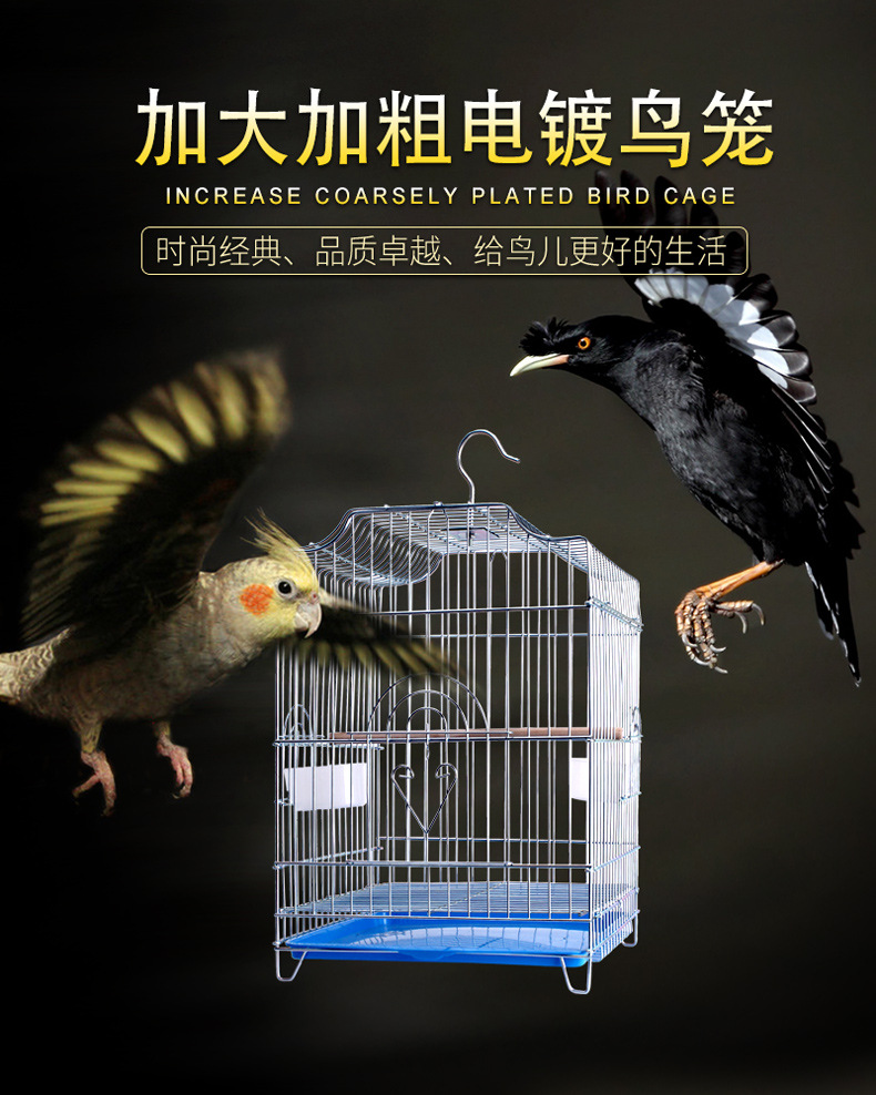鸟笼八哥玄凤鹩哥鹦鹉笼子大号特大家用不锈钢色大型繁殖一件代发