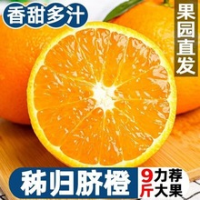 橙子 批发夏橙秭归脐橙现摘薄皮当季应季新鲜水果整箱10斤