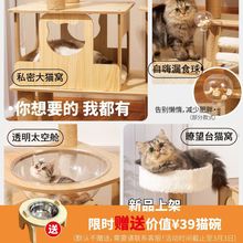 【新客减30】猫爬架猫窝猫树一体大型不占地猫架子太空舱猫抓板