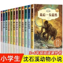 全12册 沈石溪动物小说大王全集正版套装珍藏版十大经典必读