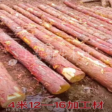 一手6米8公分东北松原木打桩木批发 东北落叶松打桩木 东北松木桩