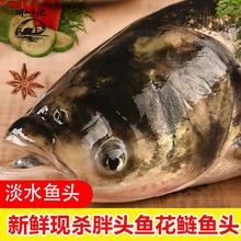 东北特产 吉林松花湖三花一岛礼盒 野生花鲢胖头鱼_阿里巴巴找货神器