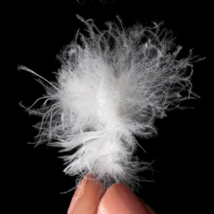 鸭羽绒散装羽绒大朵鸭绒95白鹅绒羽绒服填充物90国标白鸭绒羽绒毛