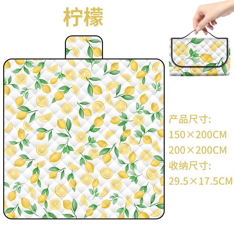 Ultrasonic Picnic Mat Thickened Outdoor Waterproof Picnic Blanket Beach Mat Tent Camping Outdoor Picnic Mat Picnic Mat Floor Mat