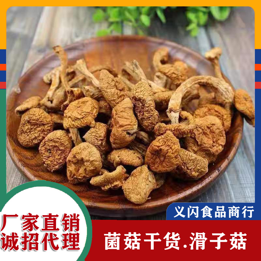 滑子菇干货500g精选滑子蘑菇东北特产新货黄蘑菇无根小鸡炖蘑菇