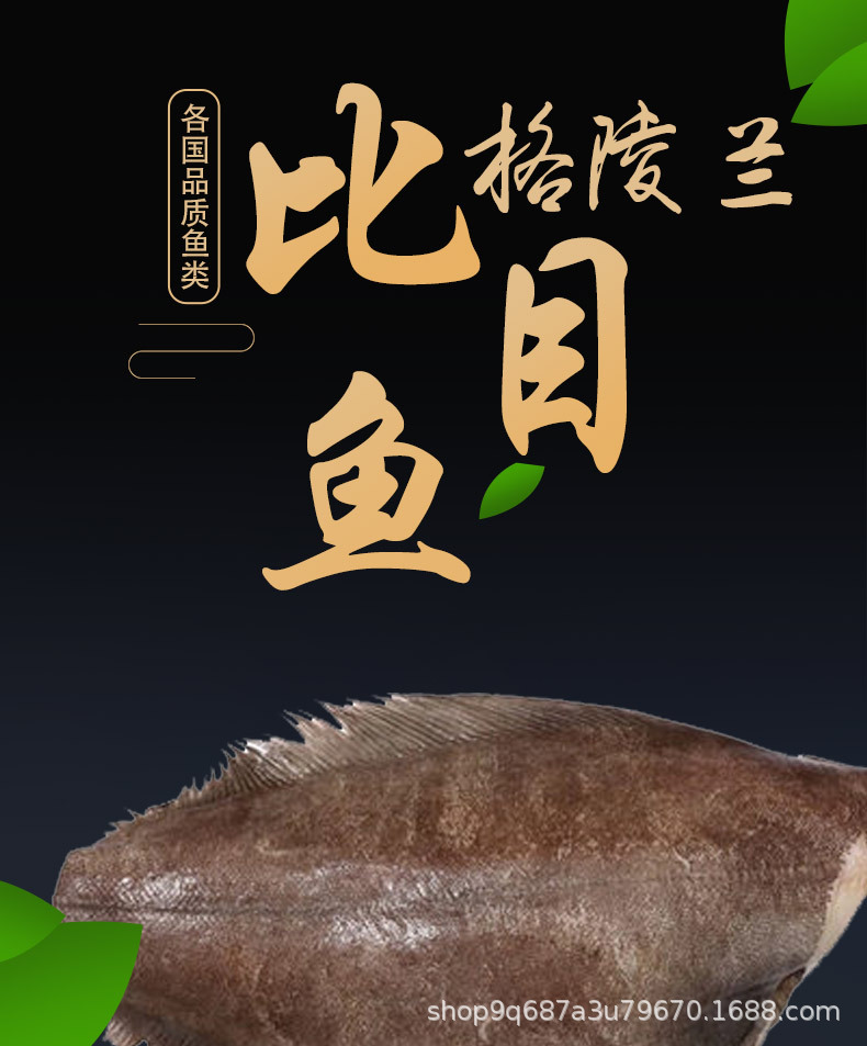 牙冻海鱼海鲜批发厂家黑鲽鱼多宝鱼新鲜鲜活石斑鱼比目鱼菱鲆鱼鲽鱼