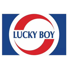 乐启宝LUCKY BOY遥控爬墙车电动坦克划线感应车翻转车飞行器玩具