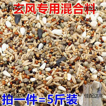鹦鹉饲料虎皮玄凤牡丹鹦鹉鸟食蜡嘴鸟食文鸟鸟粮五色黍子黄垒德株