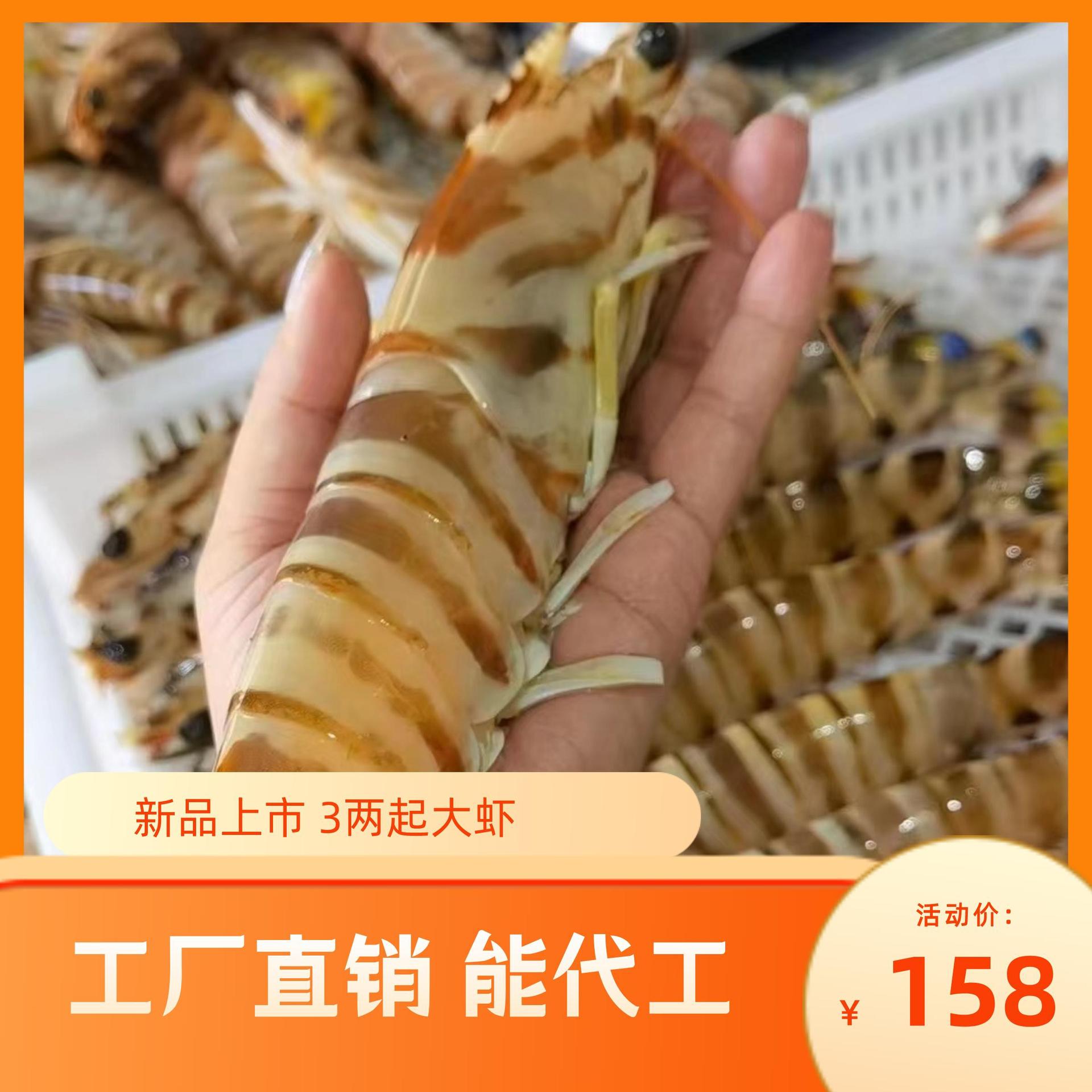 野生斑节虾东山福建酒店宴请单只大规格25  花虾对虾竹节-阿里巴巴