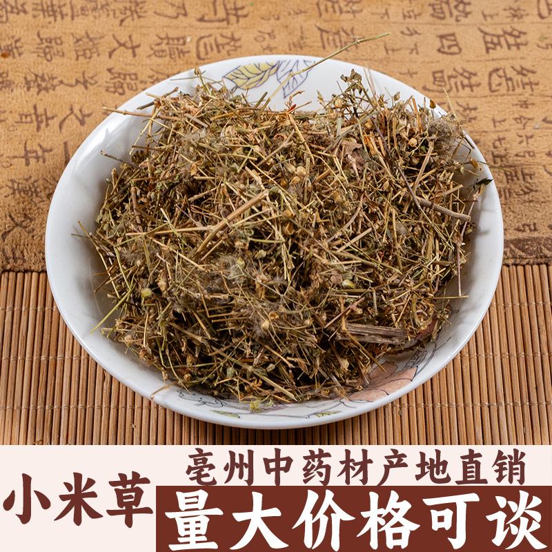小米草 芒小米草 小米草新鲜干货 亳州中药材批发中草药药食同源