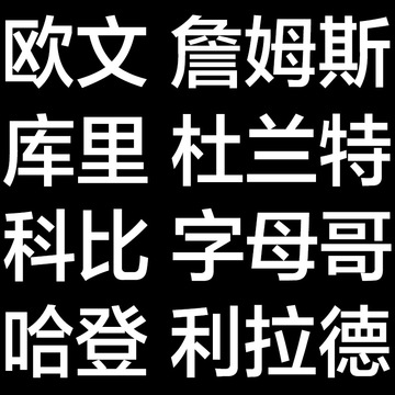 莆田鞋运动实战篮球鞋欧文詹姆斯库里杜兰特科比字母哥哈登皮蓬