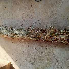 谷草谷秆干草谷杆谷子秆谷草秸秆牛羊驴马爱吃饲草爱宠垫窝料