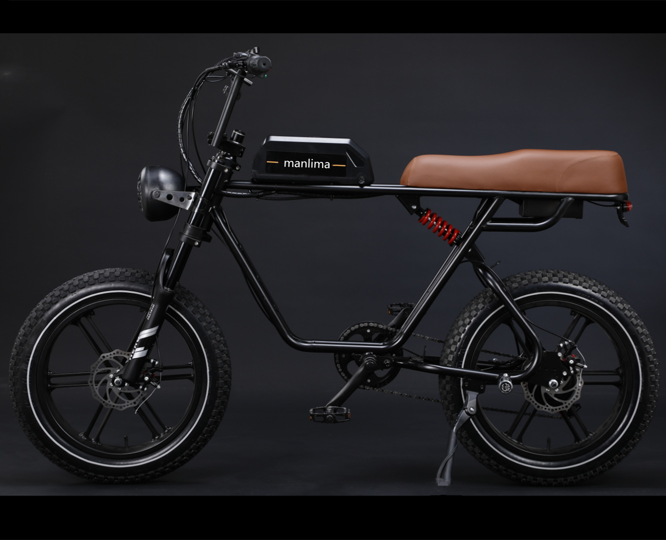 外贸出口跨境20寸锂电动自行脚踏瓶变速助力单车代步辐条雪地摩托