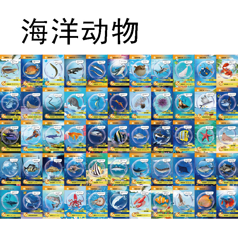 早教儿童认知卡动物卡片海洋动物卡鱼类益智趣味游戏互动卡跨境