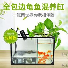 乌龟鱼混养缸玻璃水陆缸创意两用小型养乌龟观赏鱼专用鱼缸带过滤
