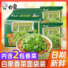 白象香菜面泡面香菜方便面整箱批发速食面超香香菜味袋装跨境电商