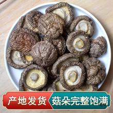 干香菇干货250g一包总重半斤农家肉厚均匀小香菇冬菇蘑菇香茹