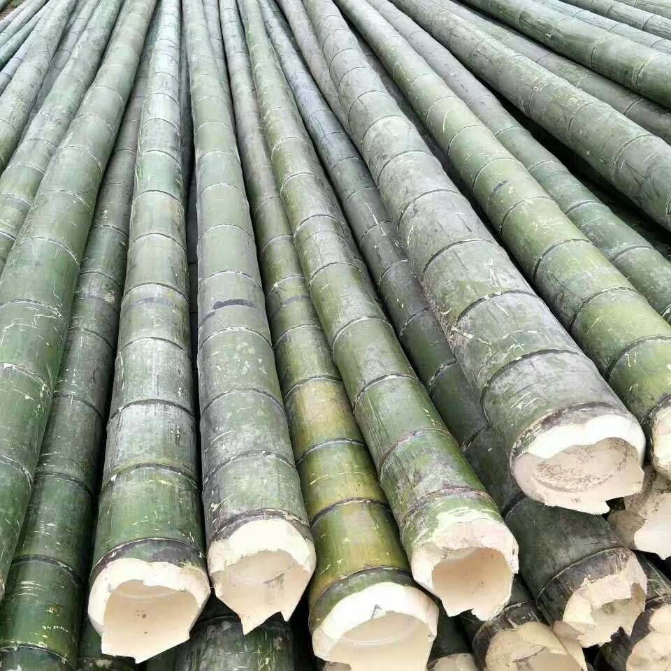 批发2022冬海产毛竹供应12米16米海产养殖毛竹毛竹