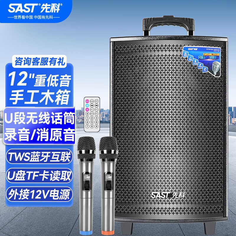 先科(sast) 12英寸重低音广场舞音响户外音箱k歌演出移动拉杆音