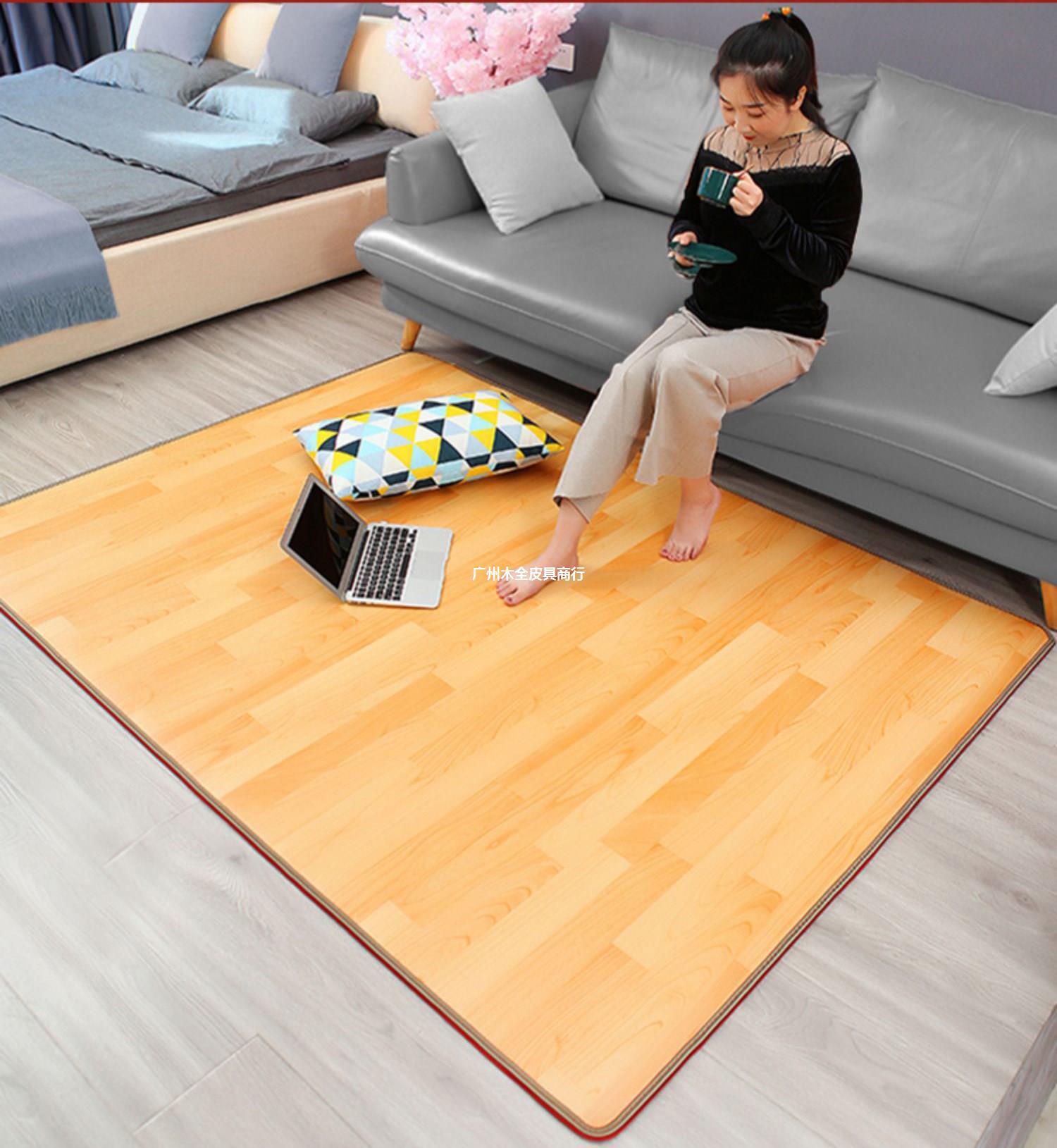 碳晶发热地板冬天地暖垫电热炕板铺的垫子加热地垫脚踩电热毯单人