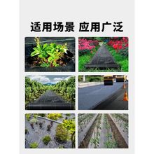 防草布除草布抗老化农用加厚园艺地布果园果树遮草盖草布地膜地钉