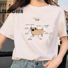 Anatomy T shirt INS超火动物解析创意图案 欧美风格 解剖短袖T恤