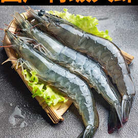 大虾鲜活速冻基围虾青岛特大青虾冷冻鲜对虾海虾海鲜水产虾类