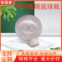 厂家批发PET透明塑料圆球瓶 糖果巧克力包装灯泡瓶 圆球塑料瓶