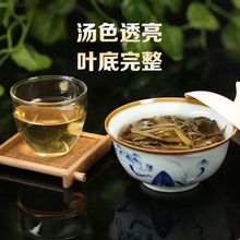 包邮【买一斤送半斤】普洱茶生茶散茶春茶 云南大树普洱茶 茶叶75