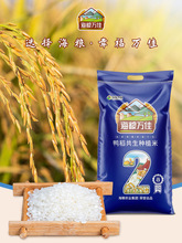 1号大米鸭稻米20斤蟹田米2023年新米盘锦大米10KG