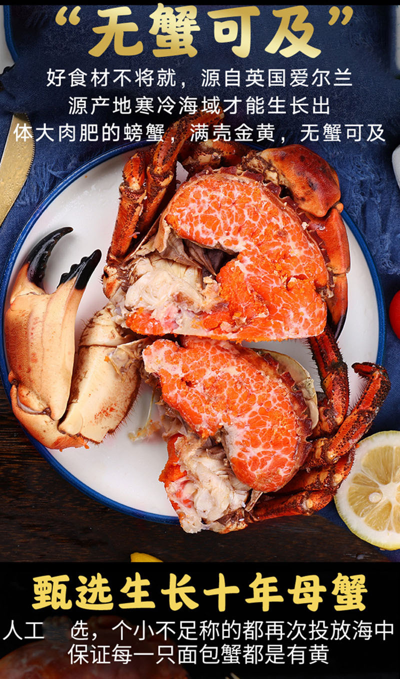 英国面包蟹 冻鲜活海鲜珍宝蟹 冷冻蟹肉活蟹现拆直供餐饮