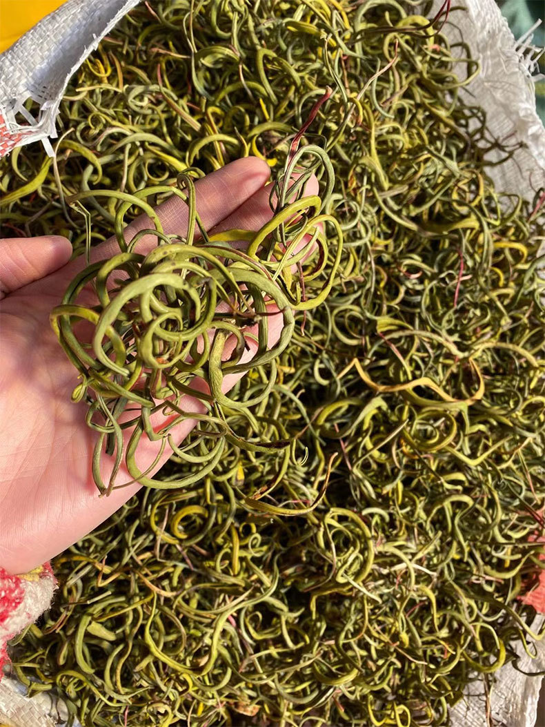 2021新货化石草肾精茶缅甸化石草中草药肾经草泡水喝肾茶大货批发