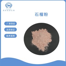 石榴粉99% 石榴果粉 水溶 石榴味奶昔烘焙糕点原料 现货 量大从优