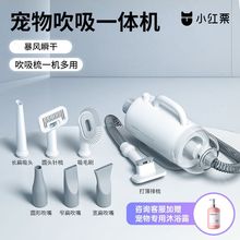 宠物吹水机狗狗吹风机猫咪吸毛器大功率吹毛吸毛一体大型犬