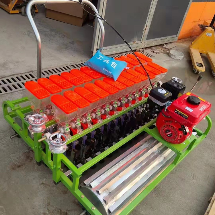 油菜白菜精播机 手推汽油小颗粒菜种下种机 香菜播种机