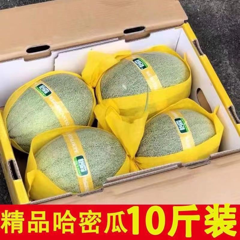 哈密瓜海南爆甜薄皮当季产地直发包邮一整箱礼盒装批发一件代发