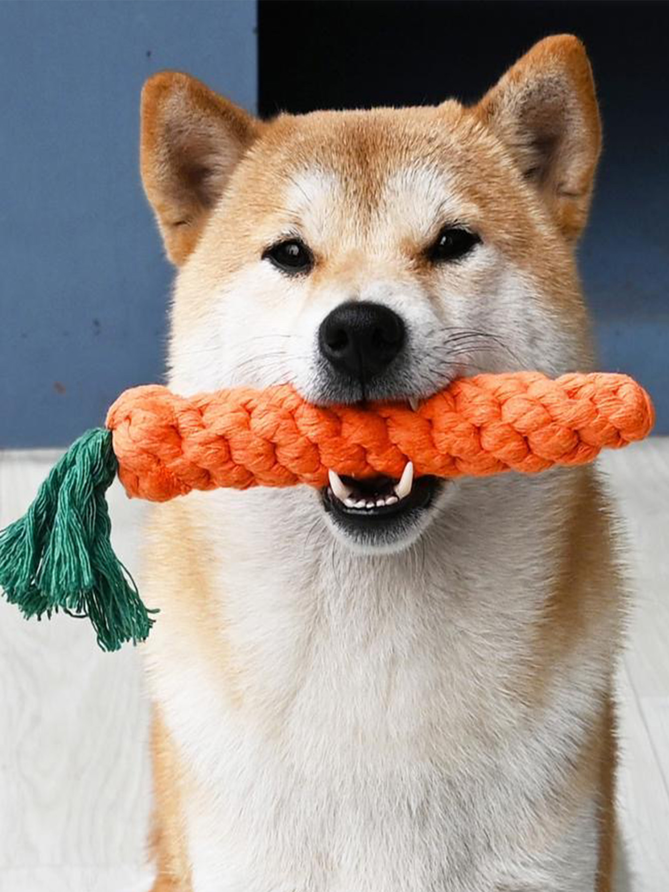 宠物棉绳编织萝卜 狗狗啃咬绳磨牙宠物棉绳玩具仿真红萝卜胡萝卜