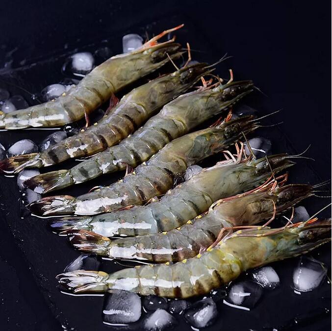 黑虎虾,本土黑虎虾,酒店餐饮刺身拼盘