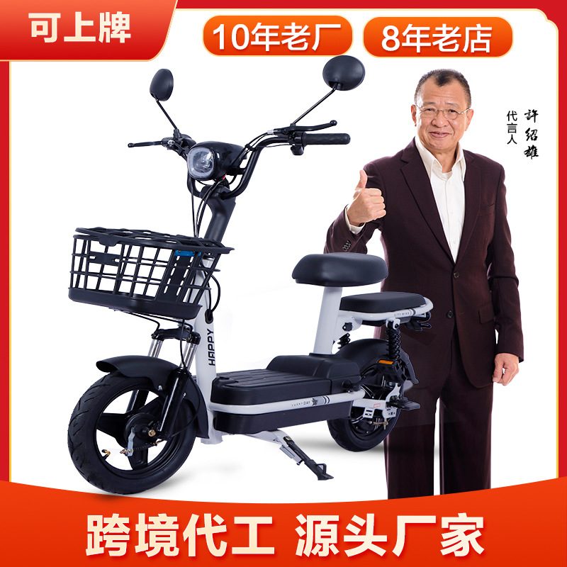 National Standard Electric Car Adult 48V Electric Bicycle Two-Wheel Double Battery Car Yadiaima Wholesale Factory