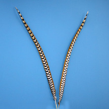 义乌地鸡羽毛90cm野鸡翎子俏花旦戏曲头饰京戏孙悟空京剧一件代发