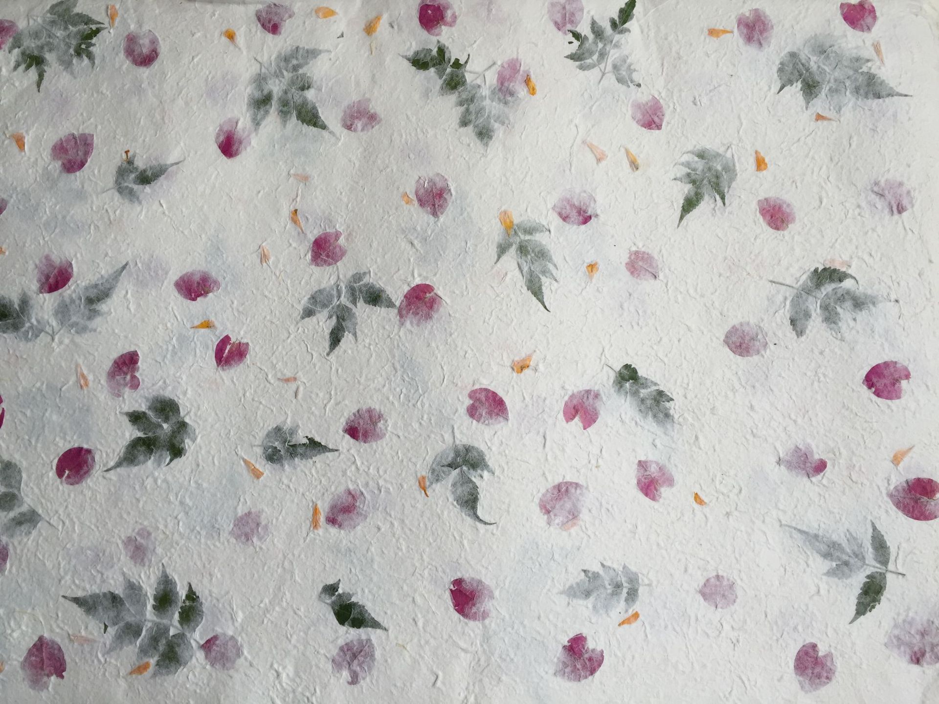 花式花瓣纸,花草纸,植物纸,手造纸,棉纸gqp-001