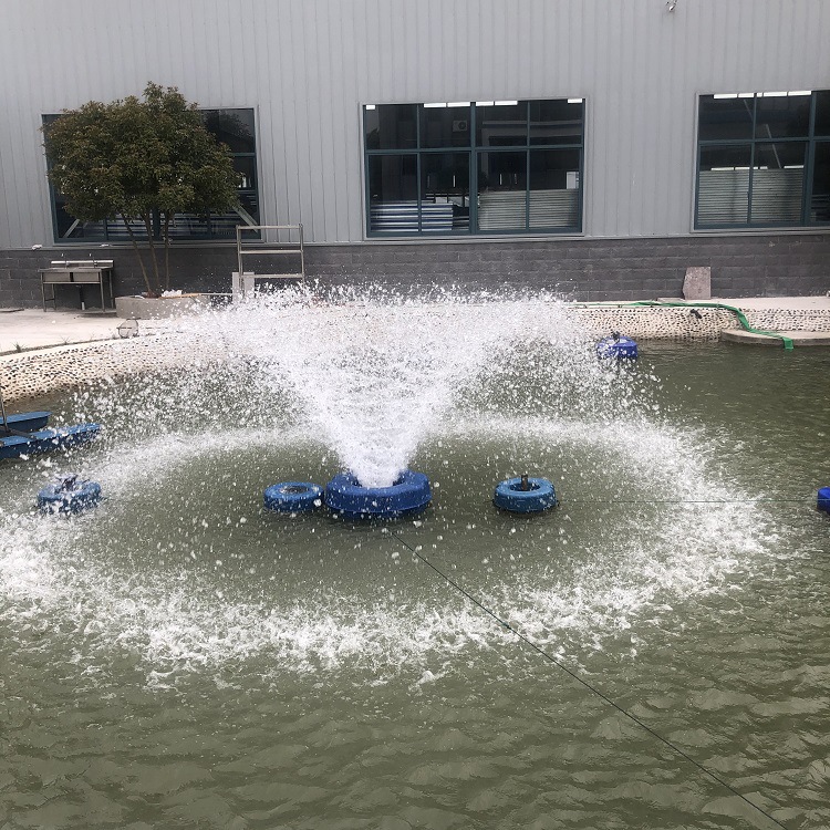 生态休闲乐园湖泊景观湖泊增氧设备喷泉曝气机景观水处理rpq