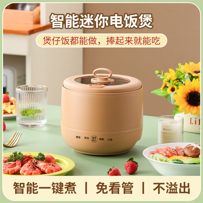 Factory Wholesale Smart Mini Rice Cooker Multi-Functional Electric Cooker Student Dormitory Non-Stick Electric Food Warmer Small