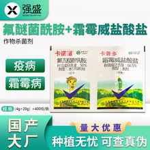 卡诺滋卡普多8%氟醚菌酰胺66.5%霜霉威盐酸盐霜霉疫病农药杀菌剂