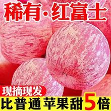 2023新果】陕西红富士苹果当季新鲜冰糖心苹果10斤一整箱水果批发