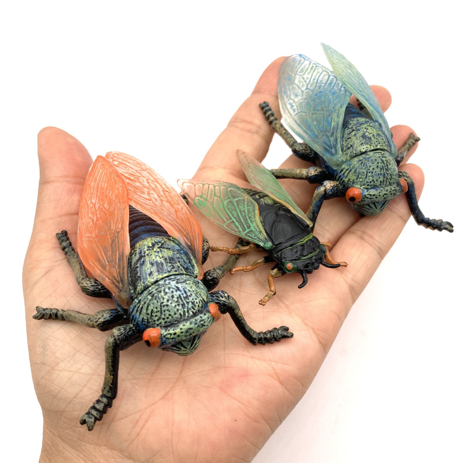 跨境仿真动物昆虫模型 知了 蝉 蜜蜂 蝉模型儿童认知实心玩具摆件