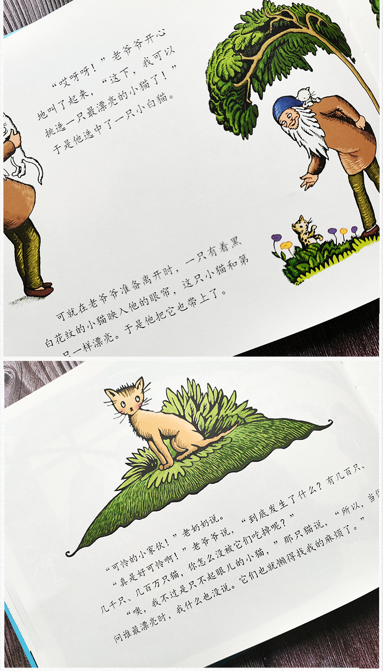 100万只猫 绘本 婉达·盖格 一百万只猫正版儿童小学生