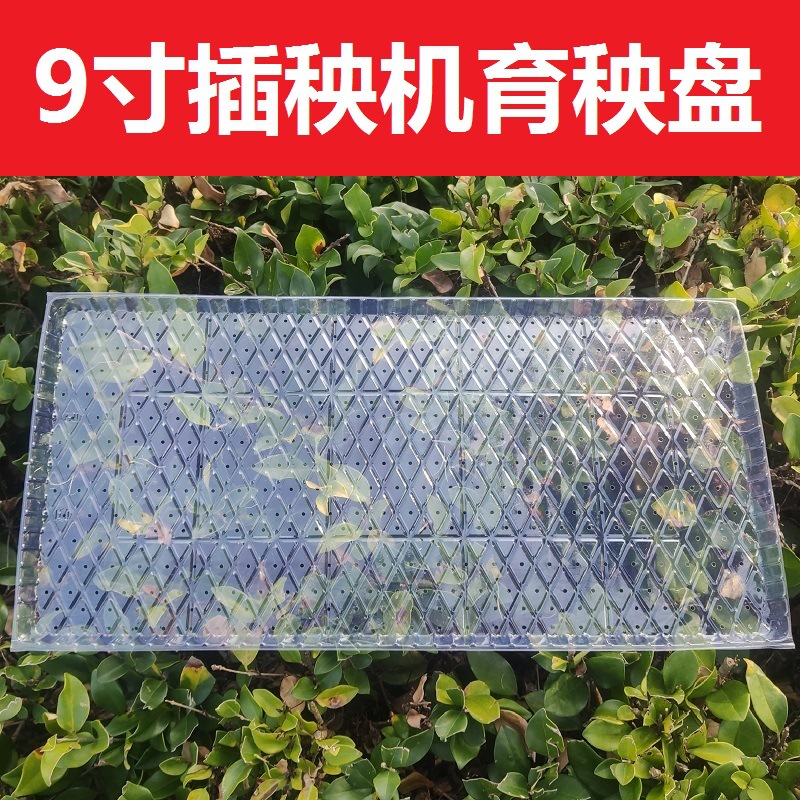 机插水稻秧盘加厚pvc平盘9寸插秧机免揭秧苗托盘软盘育秧盆秧盘