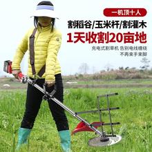 扶稻器扶草架割草机收割稻谷小麦玉米大豆割灌机收水稻割苜蓿