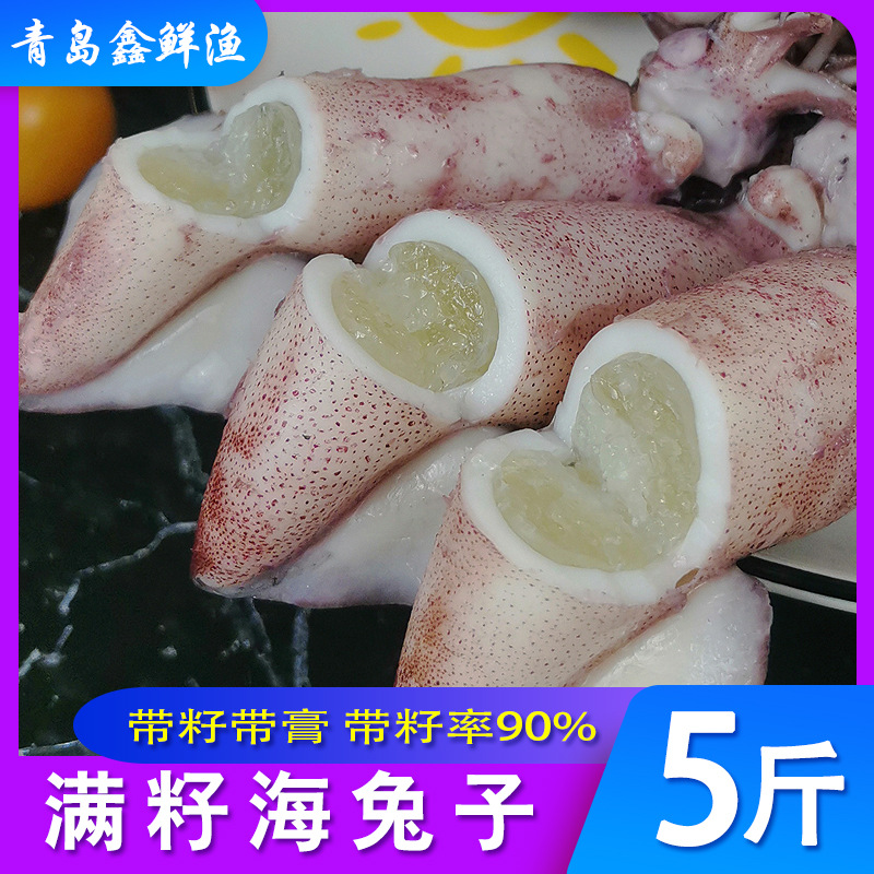 青岛带籽海兔子满籽冰鲜海鲜全籽籽乌水产野生鲜活冷冻笔管鱼
